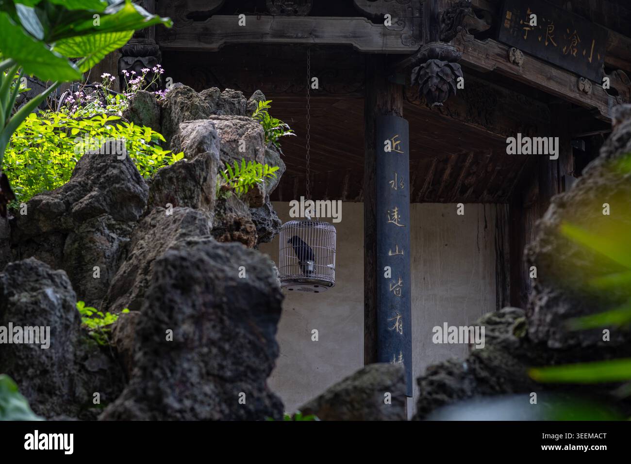 tetto in padiglione cinese tradizionale in legno nel giardino di fuzhou, cina Foto Stock