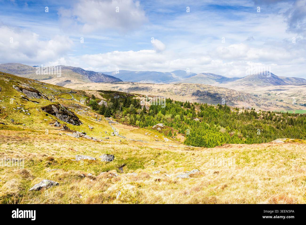 Una foto luminosa e ampia del paesaggio scattata dalle pendici orientali più basse di Moel Siabod nel Galles del Nord. Il primo piano è composto da soleggiati Foto Stock