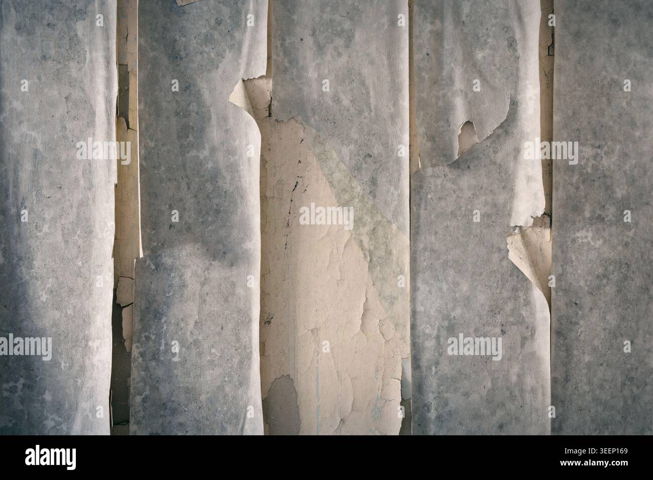 Le vecchie strisce di carta da parati, fortemente intemperie, pendono da una parete in lunghe strisce verticali Foto Stock