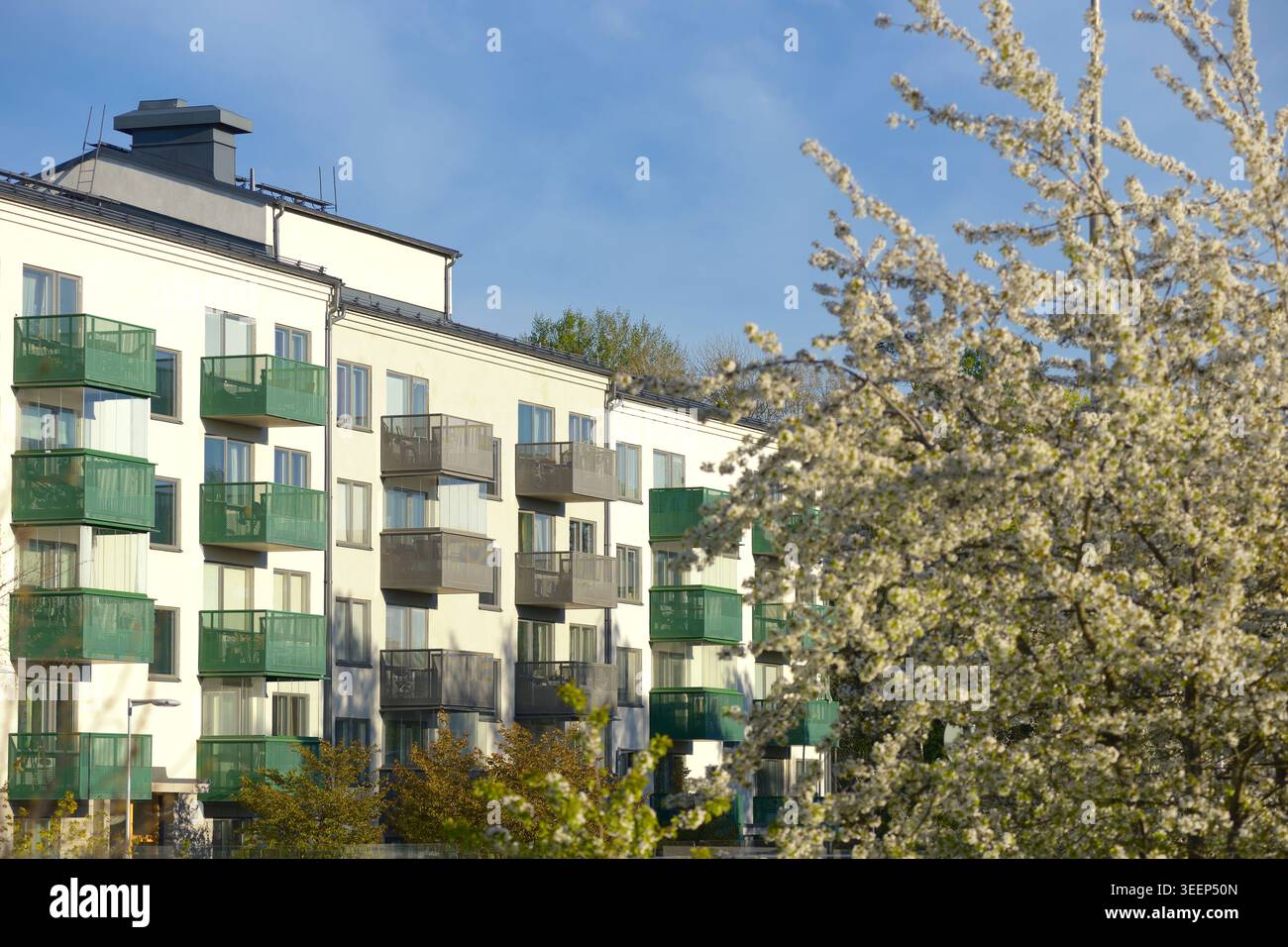 Nuovi edifici residenziali lungo un parco pubblico con cespugli e alberi in primo piano Foto Stock