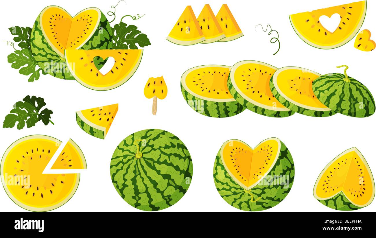 Set esotico di illustrazioni di anguria gialla. pezzi interi, tagliati a metà e tagliati a fette a forma di cuore. Grazioso stile vettoriale piatto, perfetto per l'estate tropicale Illustrazione Vettoriale
