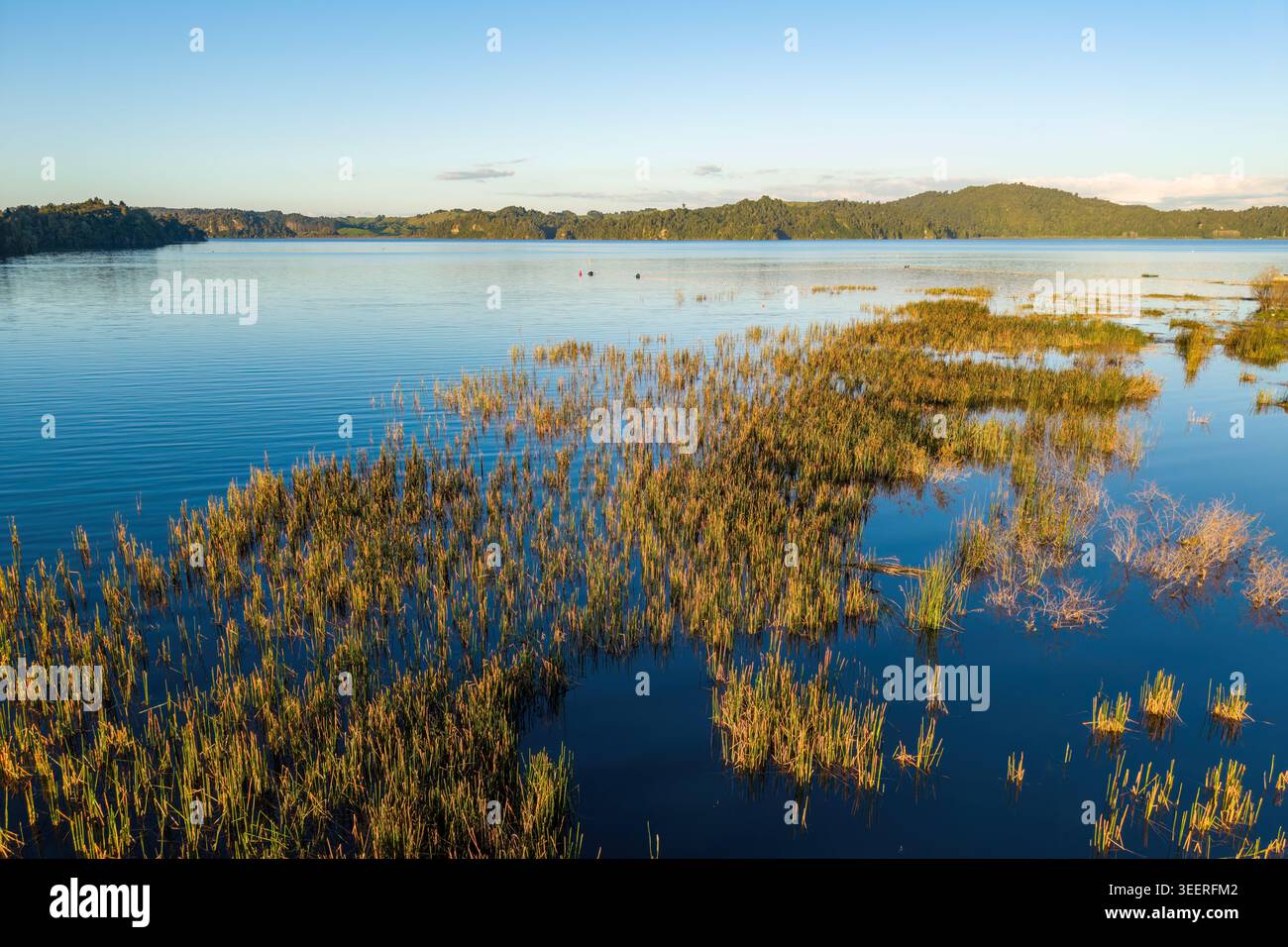 Affrettati a catturare la luce del sole che tramonta nel lago Rotoma nel distretto dei laghi di Rotorua, nuova Zelanda Foto Stock