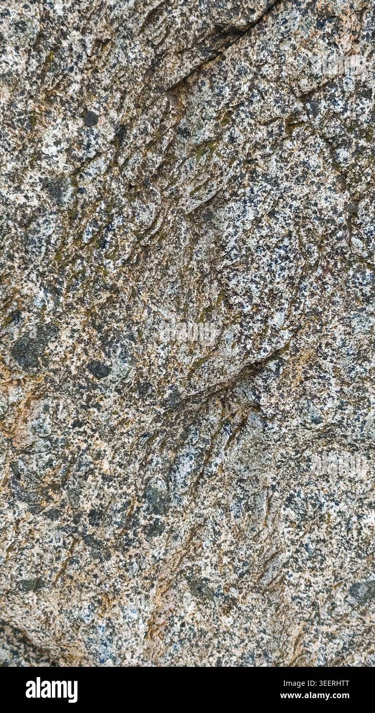 L'immagine dettagliata mostra imperfezioni superficiali e consistenza ruvida. La tavolozza Earthy include scala di grigi, marrone, abbronzatura che aggiunge profondità e interesse visivo. Sfondo per Foto Stock
