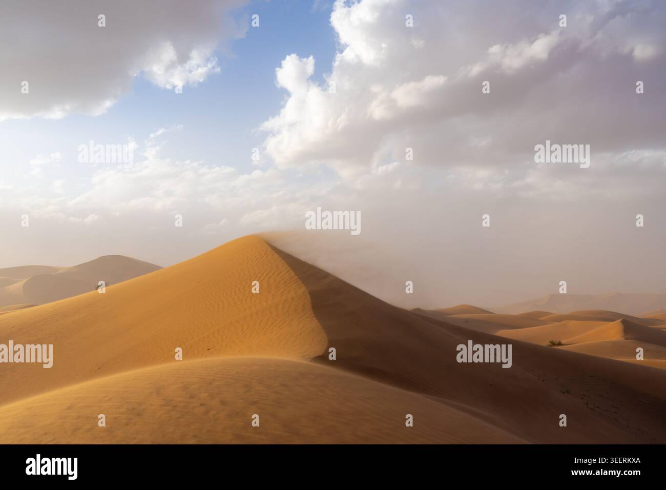 Forte vento che soffia la sabbia sciolta nel deserto del Sahara, Marocco, Africa. Foto Stock