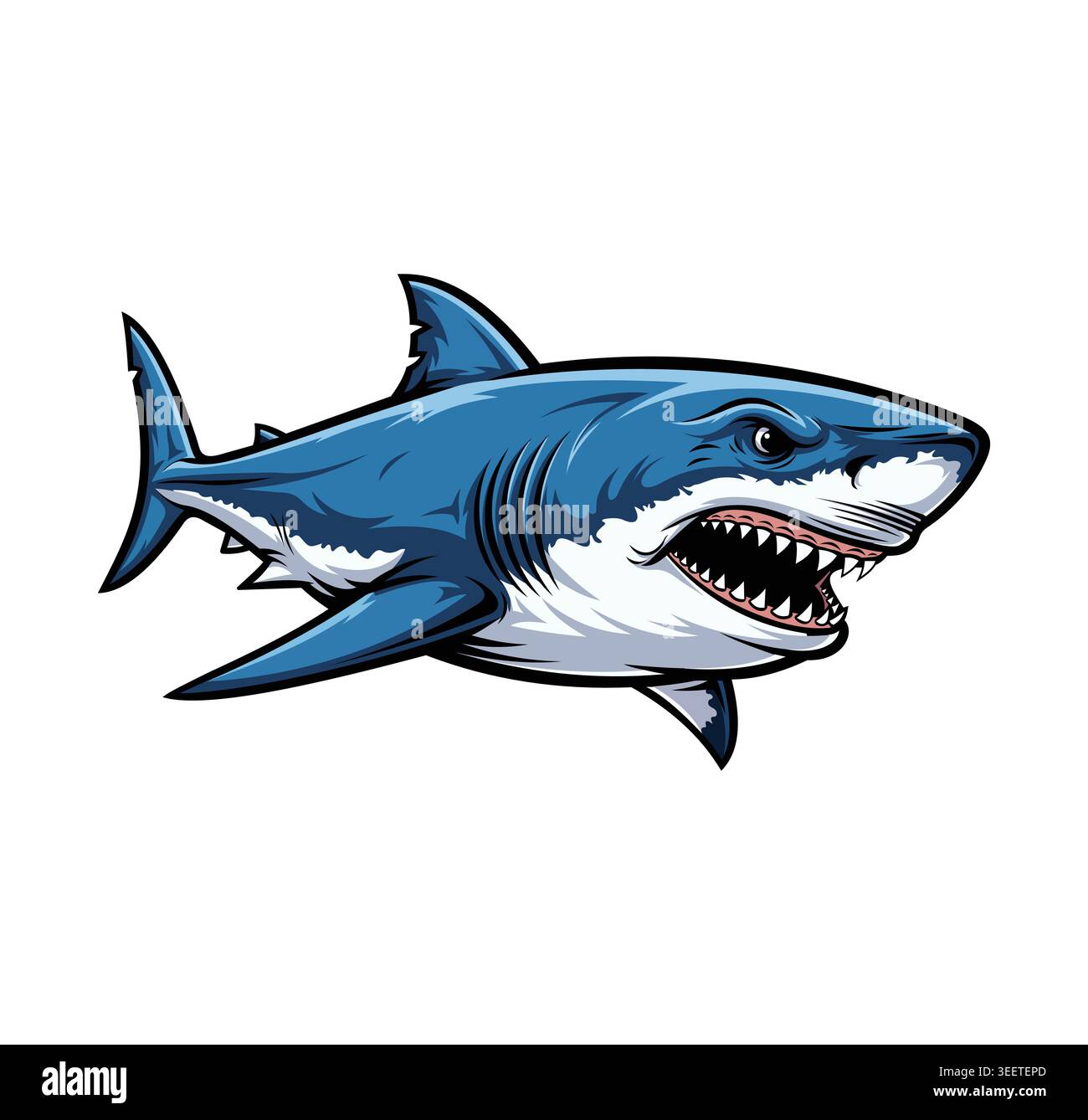 Squalo cartoni animati e occhio rosso arrabbiato. Logo della mascotte animale. Illustrazione vettoriale su sfondo bianco. Illustrazione Vettoriale