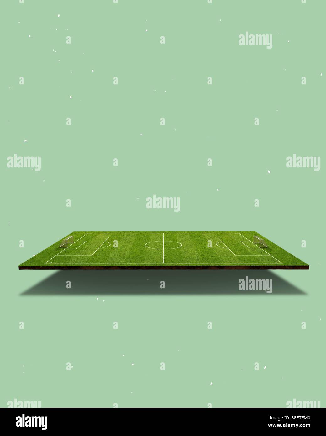 Campo da calcio 3D isolato su sfondo libero dall'alto - poster con sfondo a trama Foto Stock