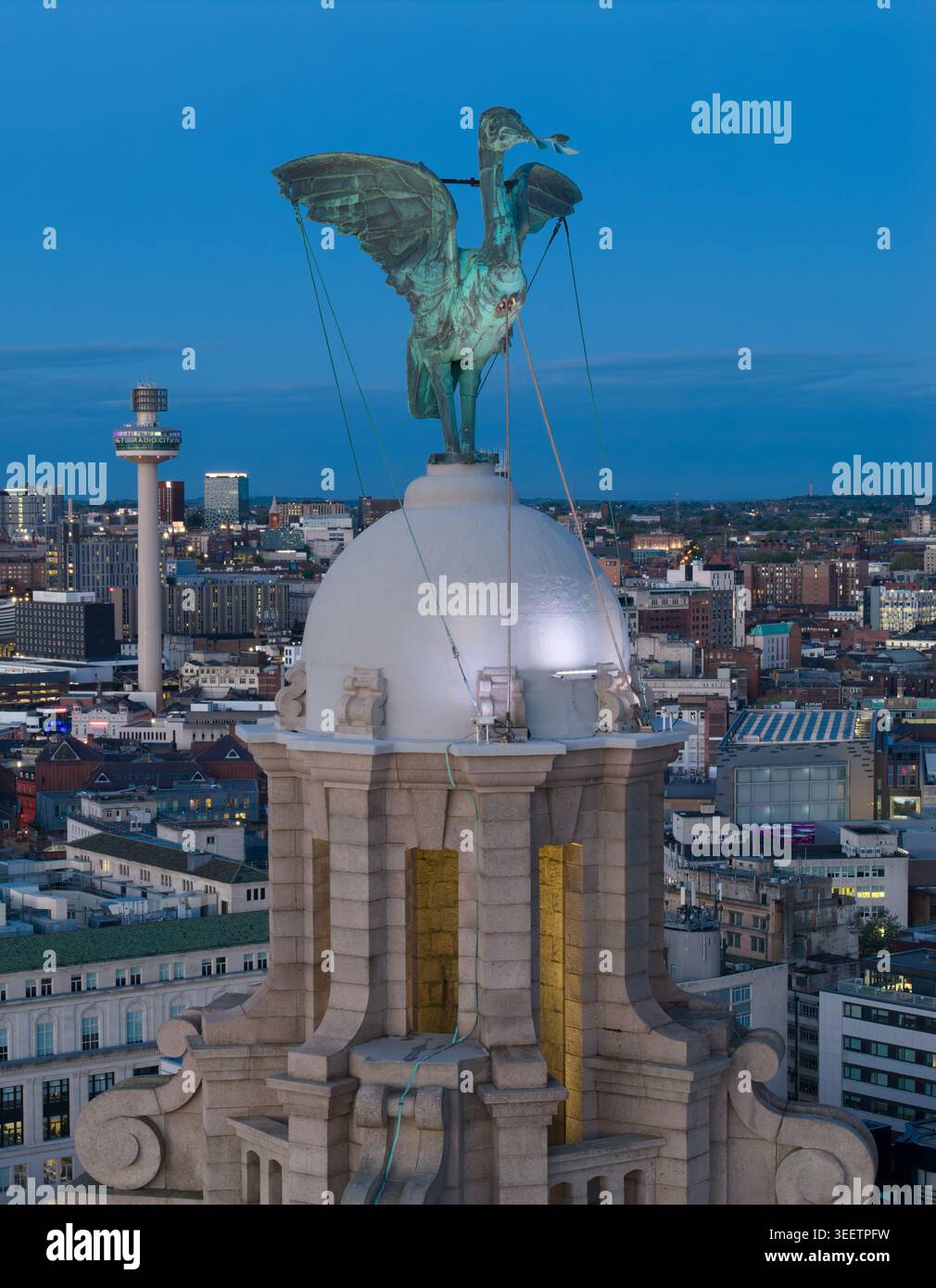 Edificio Royal Liver sul lungomare di Liverpool a Pier Head, una landmark iconica accanto al fiume Mersey, Merseyside, Inghilterra. Foto Stock