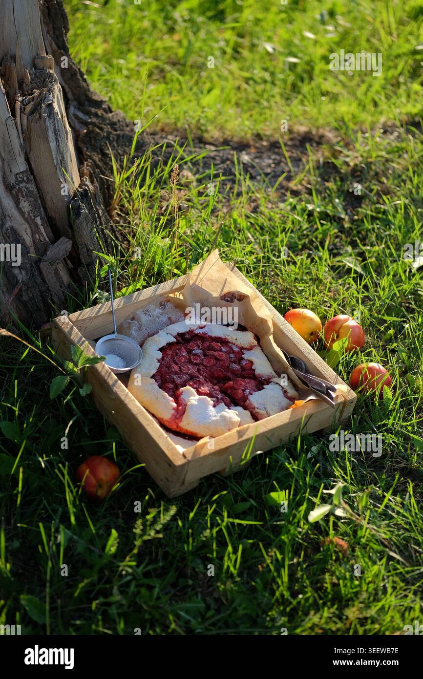Scena illuminata dal sole con torta di frutta su tronchi erbosi circondati da mele Foto Stock