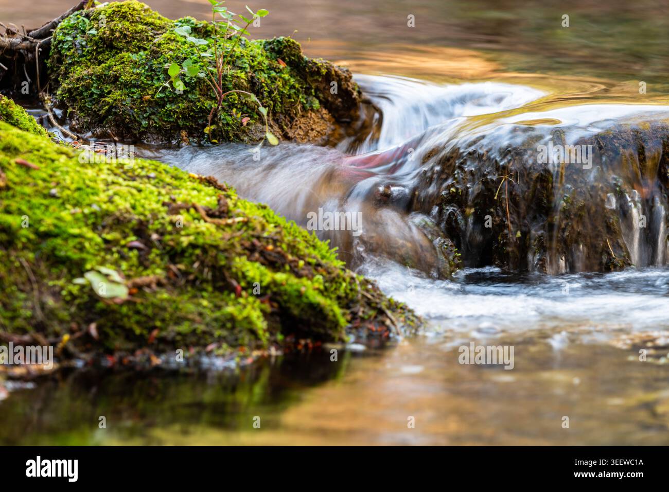 Acqua che scorre sopra le rocce di Mossy – piccola cascata nella foresta Foto Stock