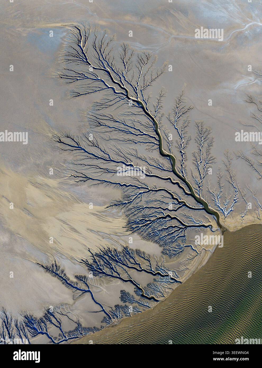 Vista aerea degli intricati schemi di drenaggio dendritico della Reserva de la Biosfera alto Golfo de California y Delta del Rio Colorado a Tijuana, B. Foto Stock