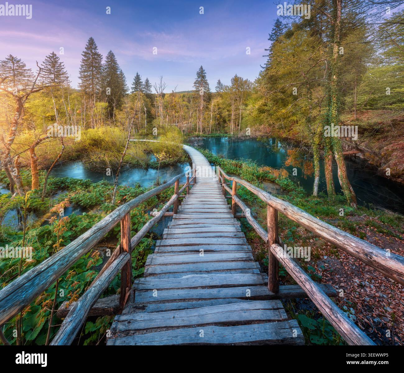 Sentiero in legno nella foresta verde dei laghi di Plitvice, Croazia al tramonto Foto Stock