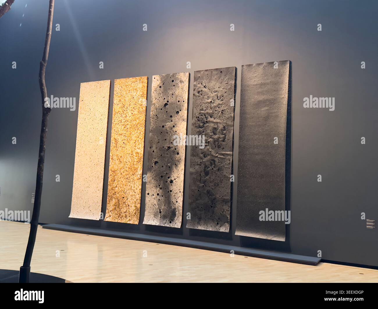Absolute Fire di Lindy Lee, una rappresentazione naturale del pensiero buddista. Al museo d'arte National Gallery of Australia di Canberra. Foto Stock