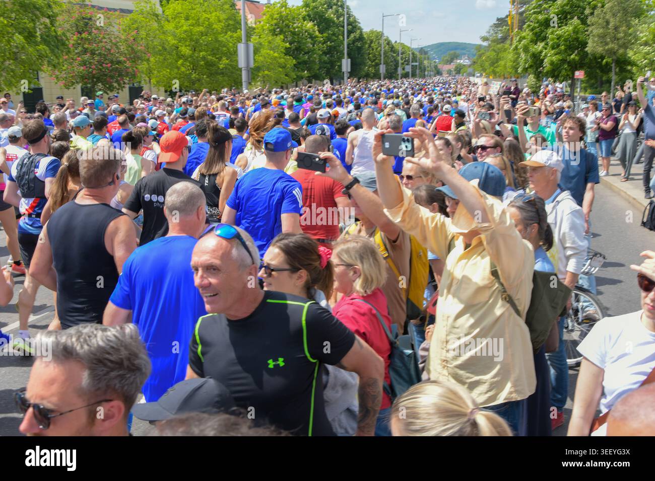 Gran numero di corridori e visitatori all'evento sportivo pubblico in Austria, Austria, Vienna, 10 maggio 2026. Foto Stock