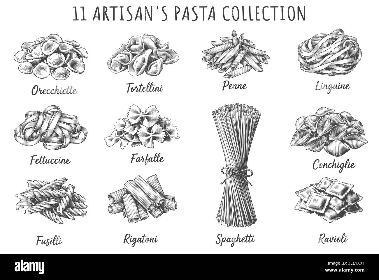 Un set completo di undici formati di pasta tradizionale italiana disegnati a mano in un dettagliato stile classico di incisione. Perfetto per il menu del ristorante italiano Illustrazione Vettoriale