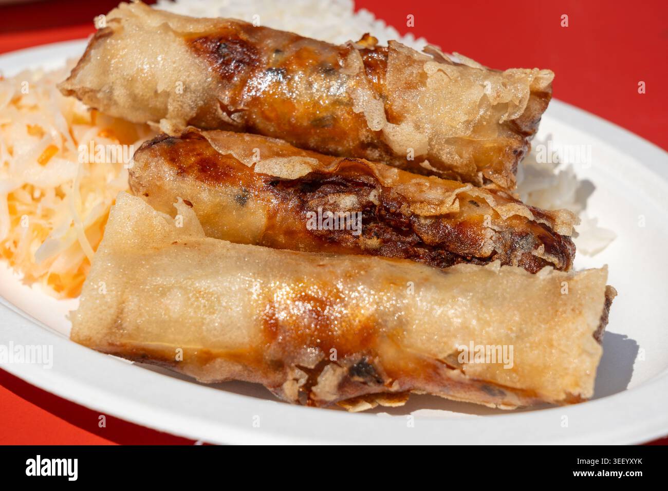 Involtini primavera fritti. Involtini di primavera croccanti, involtini di uova arrosto con riso bollito e insalata di cavolo, ribes asiatico, loempia orientale, popiah o nem, lumpia sp Foto Stock