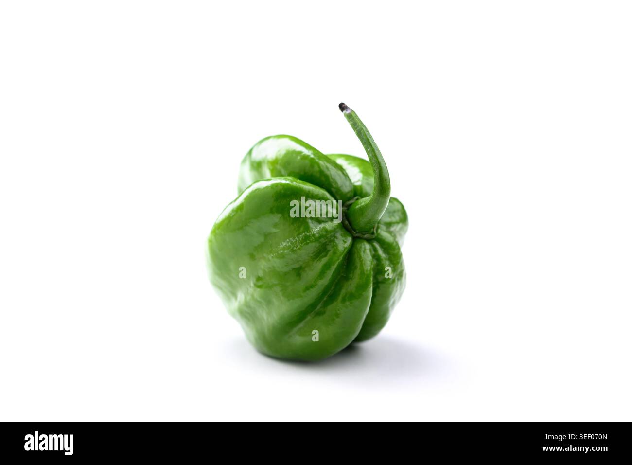 Pepe habanero verde isolato su superficie bianca con forma naturale e ombre morbide. Peperoncino fresco, pepe non maturo, ingrediente organico, stile pulito Foto Stock