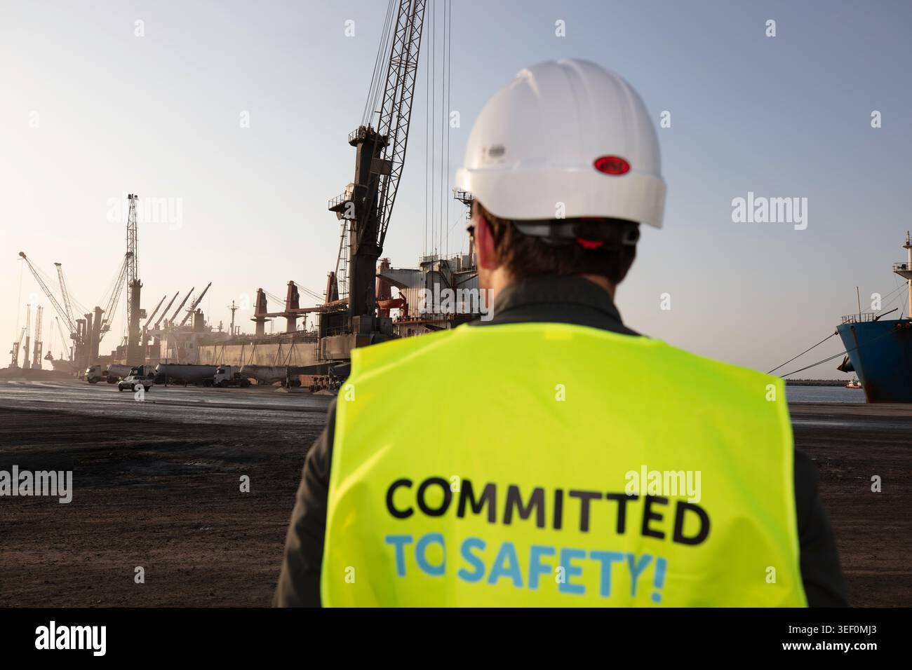 Squadra di ispettori di sicurezza che sovrasfruttano le operazioni di semina al porto di Saqr, Ras al Khaimah, Emirati arabi Uniti Foto Stock