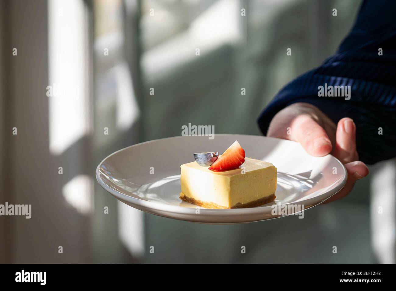 Una mano che regge un piatto con una cremosa cheesecake di mango ricoperta di fragole e mirtilli freschi alla luce del sole. Foto Stock
