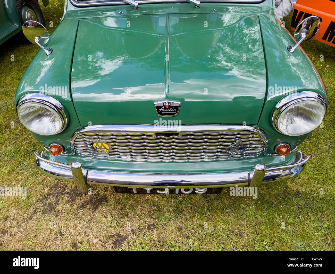 Vista frontale di una classica Austin Mini Traveller 1963 da 998 cc TYJ109 verde che mostra i fari della griglia cromati e il simbolo Austin su un campo erboso - Immagine stock catturata con smartphone