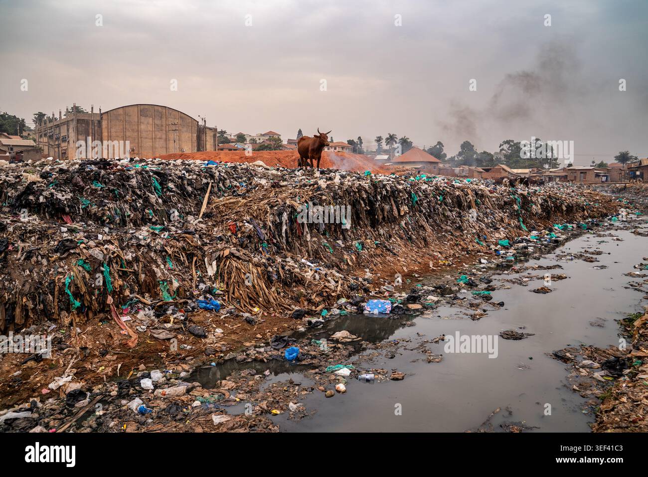 Una mucca solitaria si erge in cima a un enorme mucchio di rifiuti e plastica accanto a un canale d'acqua inquinato. Sullo sfondo, edifici urbani, fumo e a. Foto Stock