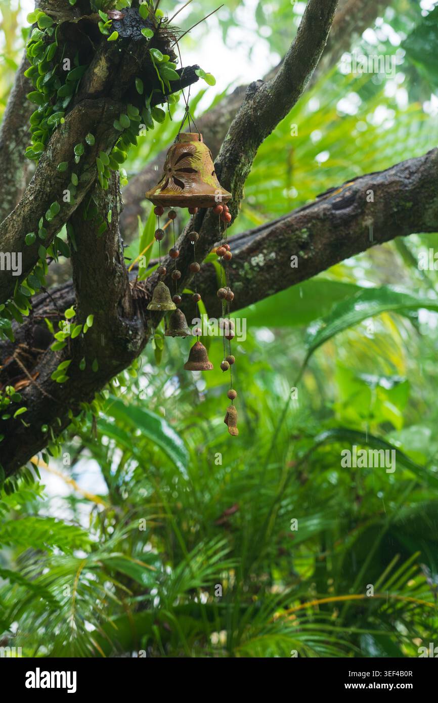 Un primo piano verticale di un campanello decorativo di vento di argilla appeso a un ramo di albero muschiato in un lussureggiante giardino tropicale durante le piogge, nello Sri Lanka. Foto Stock