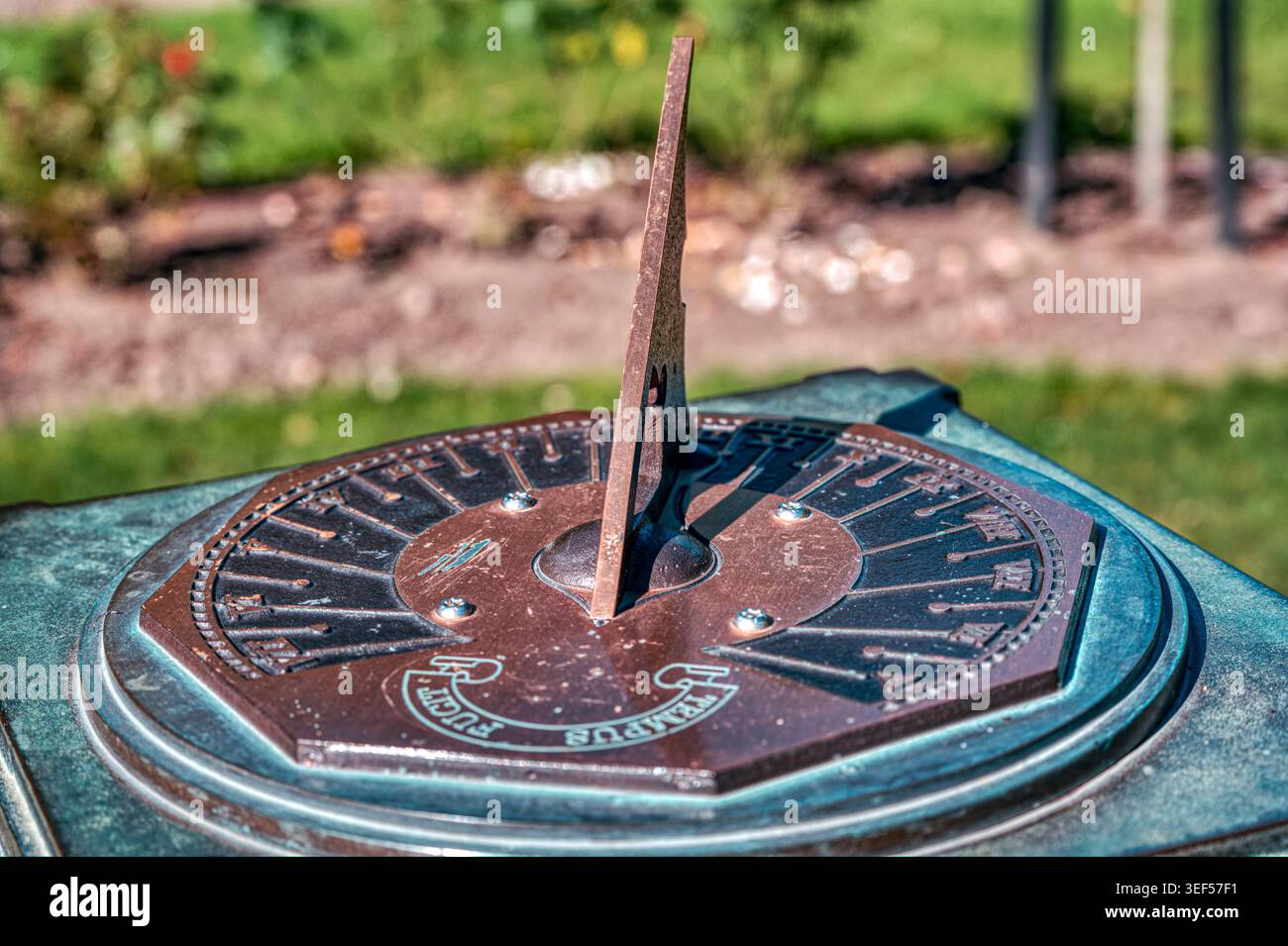 Tempus Fugit, una meridiana a mezzogiorno, Ashburton Domain, Ashburton, South Island, nuova Zelanda Foto Stock