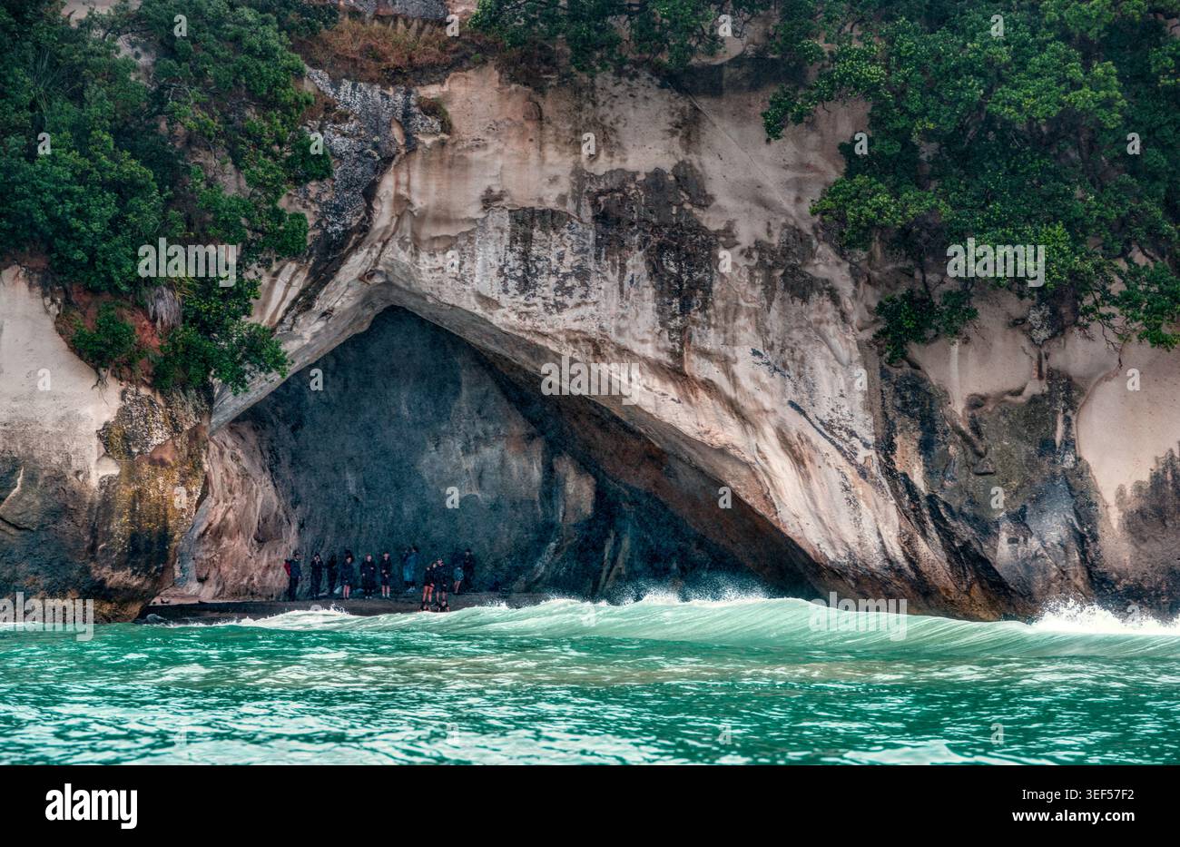 Cathedral Cove, Mercury Bay, Penisola di Coromandel, nuova Zelanda Foto Stock