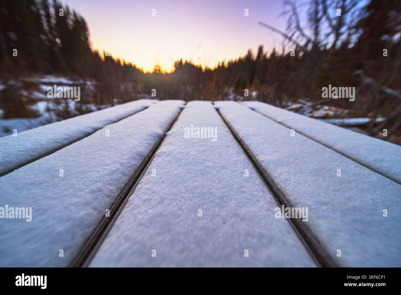 Tavolo da picnic coperto di neve, foresta invernale, alba all'aperto Foto Stock