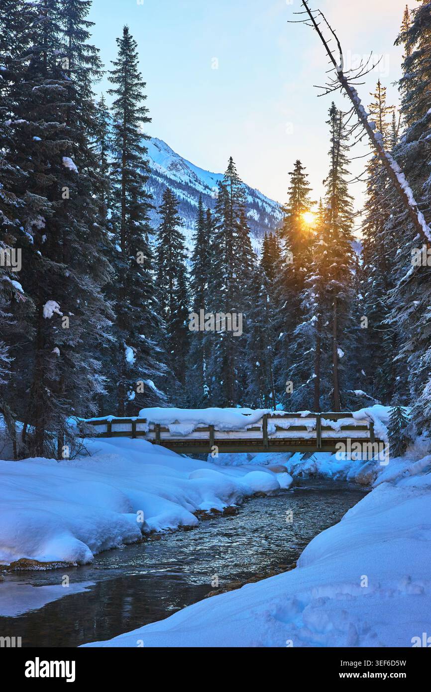 Snowy Bridge sul Creek con Sunburst attraverso Winter Pines Foto Stock