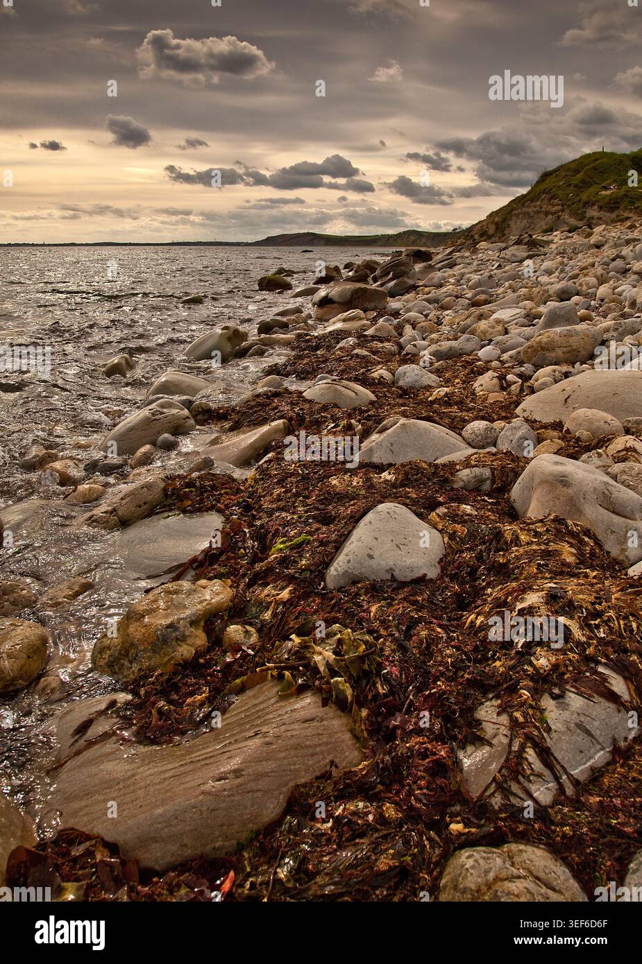 La luce della sera tarda bagna la costa rocciosa del Dorset UK, con le coste disseminate di alghe che conducono verso la lontana Portland Bill. Foto Stock