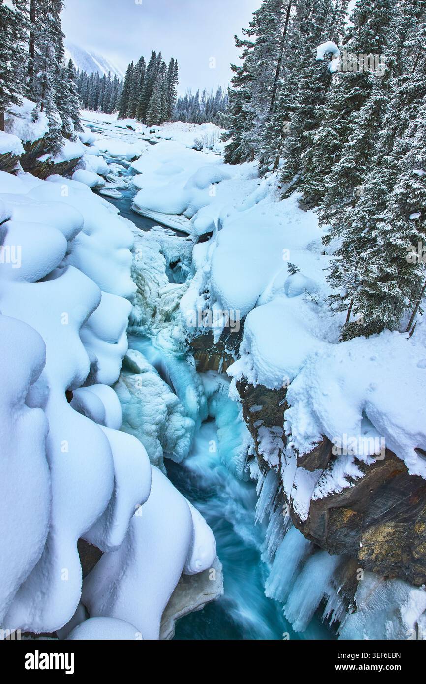 Ghiacciato River Canyon innevato Pine Trees e il paesaggio delle cascate invernali Foto Stock