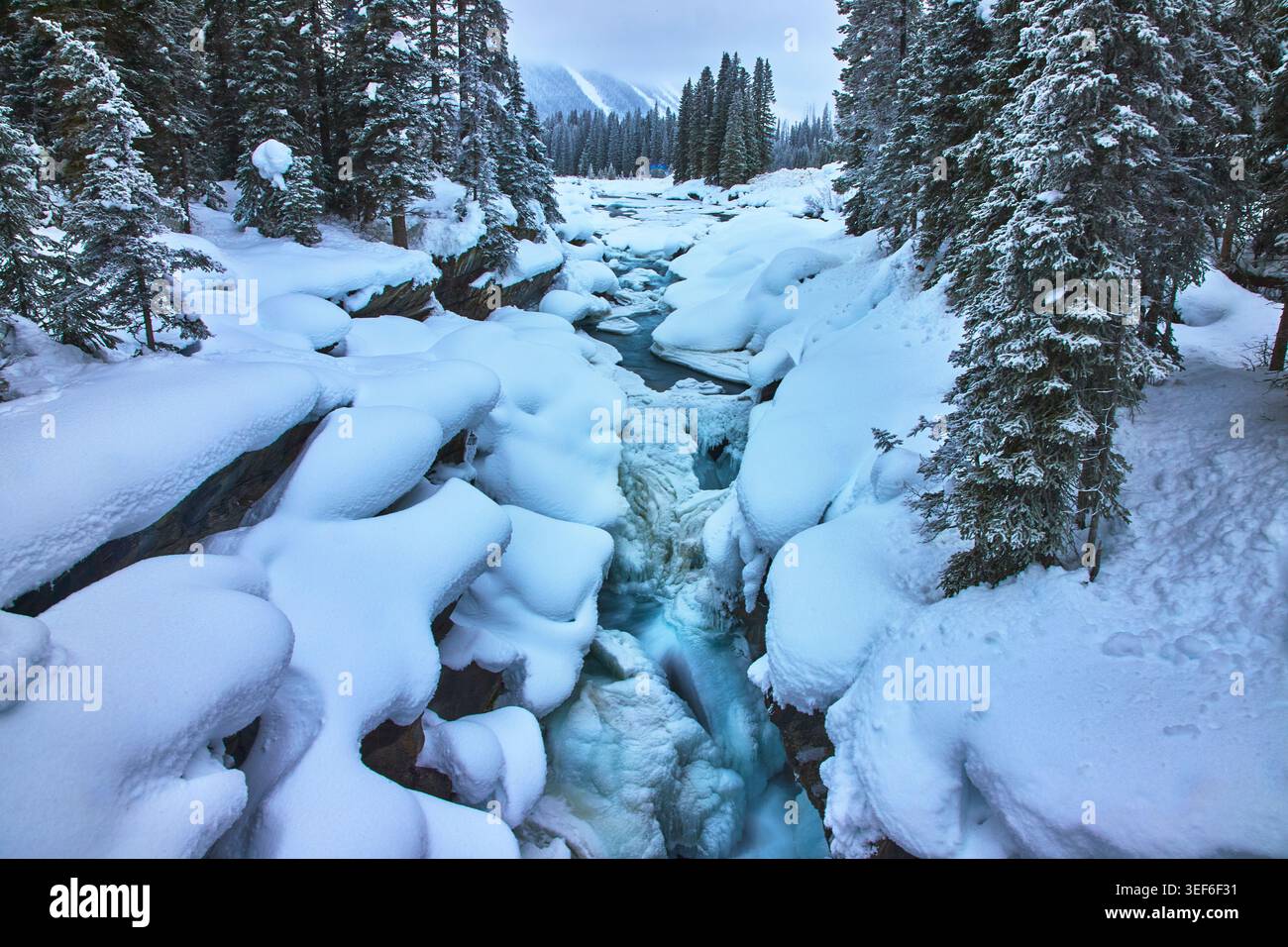 Frozen River e Snowy Evergreen Forest con cascata invernale nella natura incontaminata Foto Stock