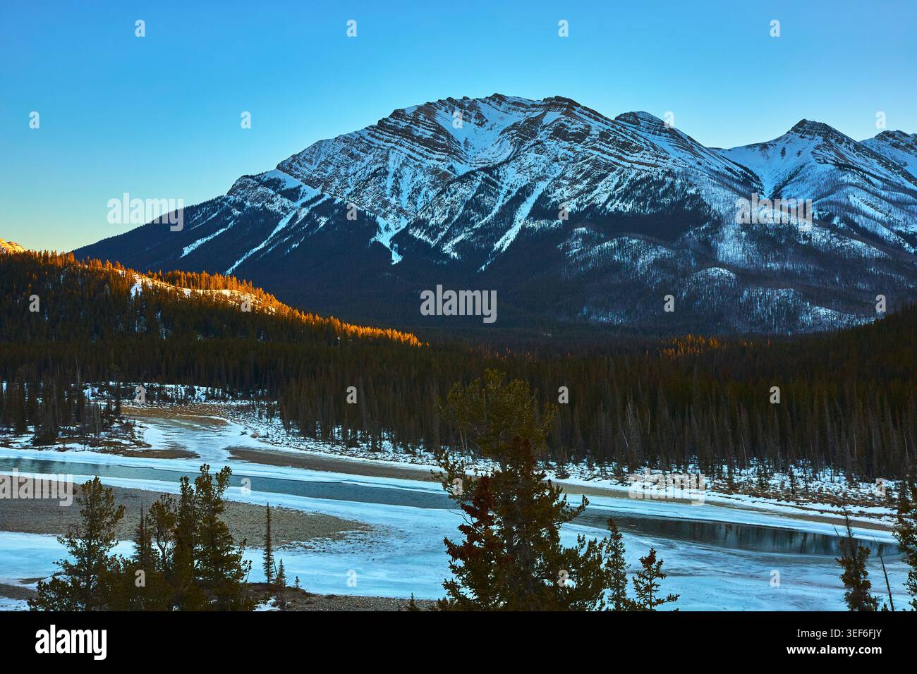 Fiume innevato di montagna e foresta Evergreen all'alba in inverno Foto Stock