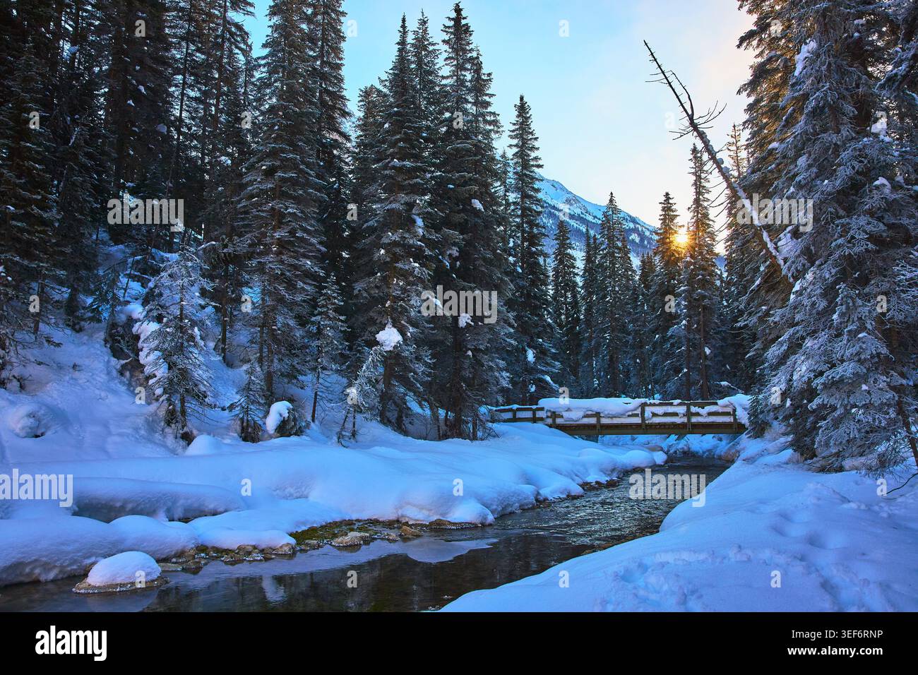 Ponte in legno di Winter Forest Creek e Sunburst nella riserva naturale canadese di Snowy Foto Stock