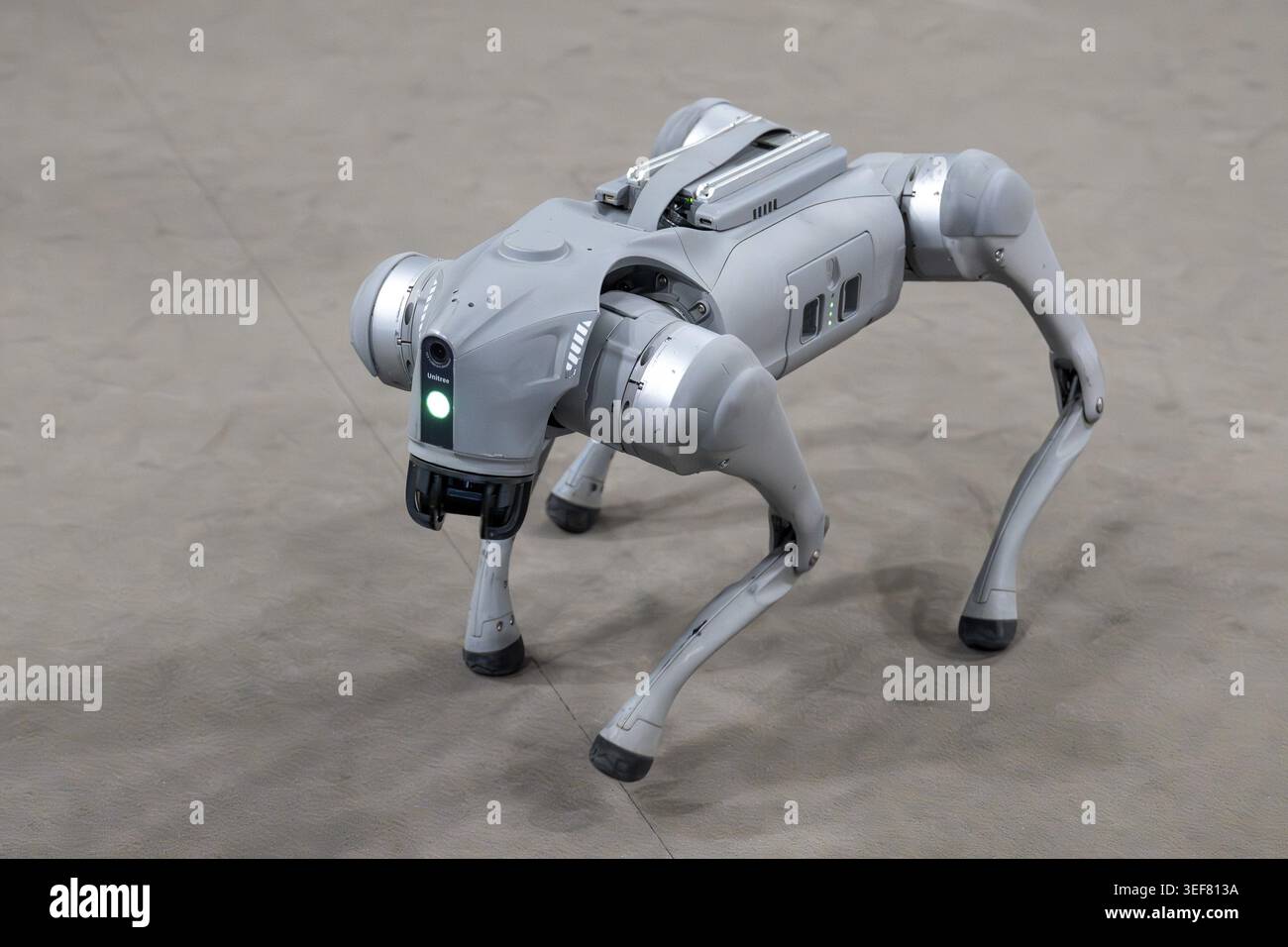 Robot a quattro zampe, Unitree Go2, HSLU, Berna, Svizzera Foto Stock