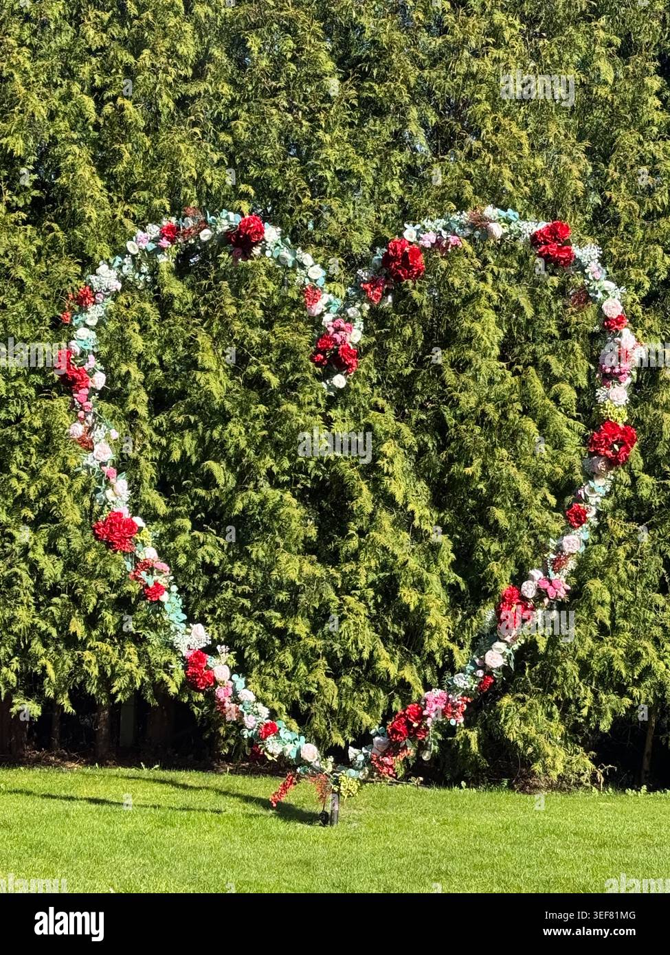 Riga, Lettonia - 2 maggio 2026: Elegante arco a forma di cuore floreale con fiori rossi, rosa e bianchi esposto su un prato verde contro alberi sempreverdi. Romantici Foto Stock