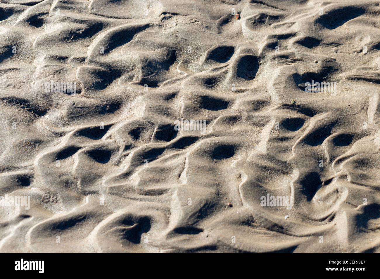 Eccezionale primo piano macro che rivela una consistenza di sabbia stratificata con notevole profondità e qualità dimensionale. Strati multipli di sabbia creano una stratificazione visiva Foto Stock