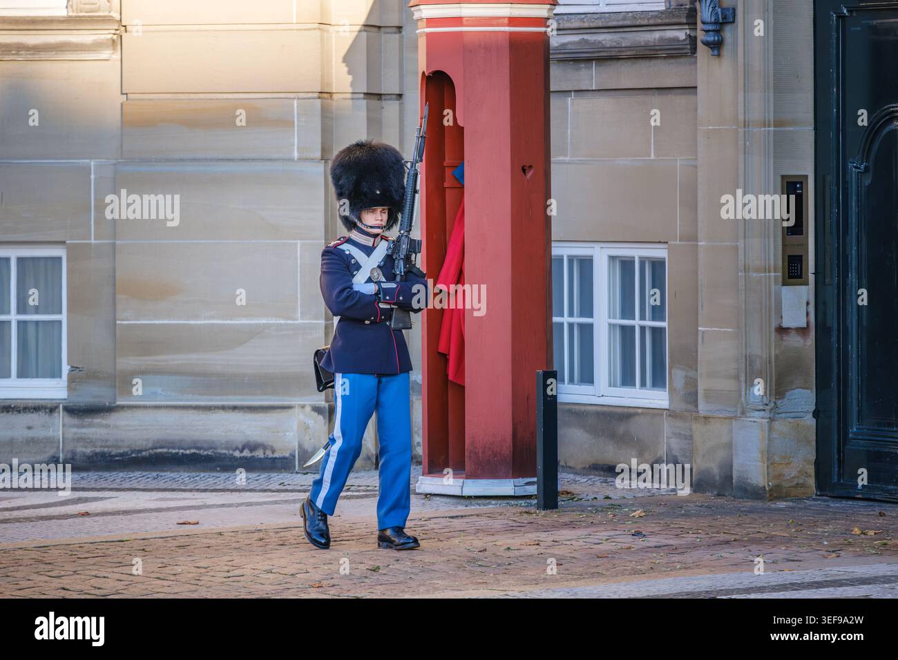 Guardia reale al Palazzo di Amalienborg (Den Kongelige Livgarde), Copenaghen, cappello in pelle di manzo, Sentinella militare, Patrimonio della monarchia danese Foto Stock