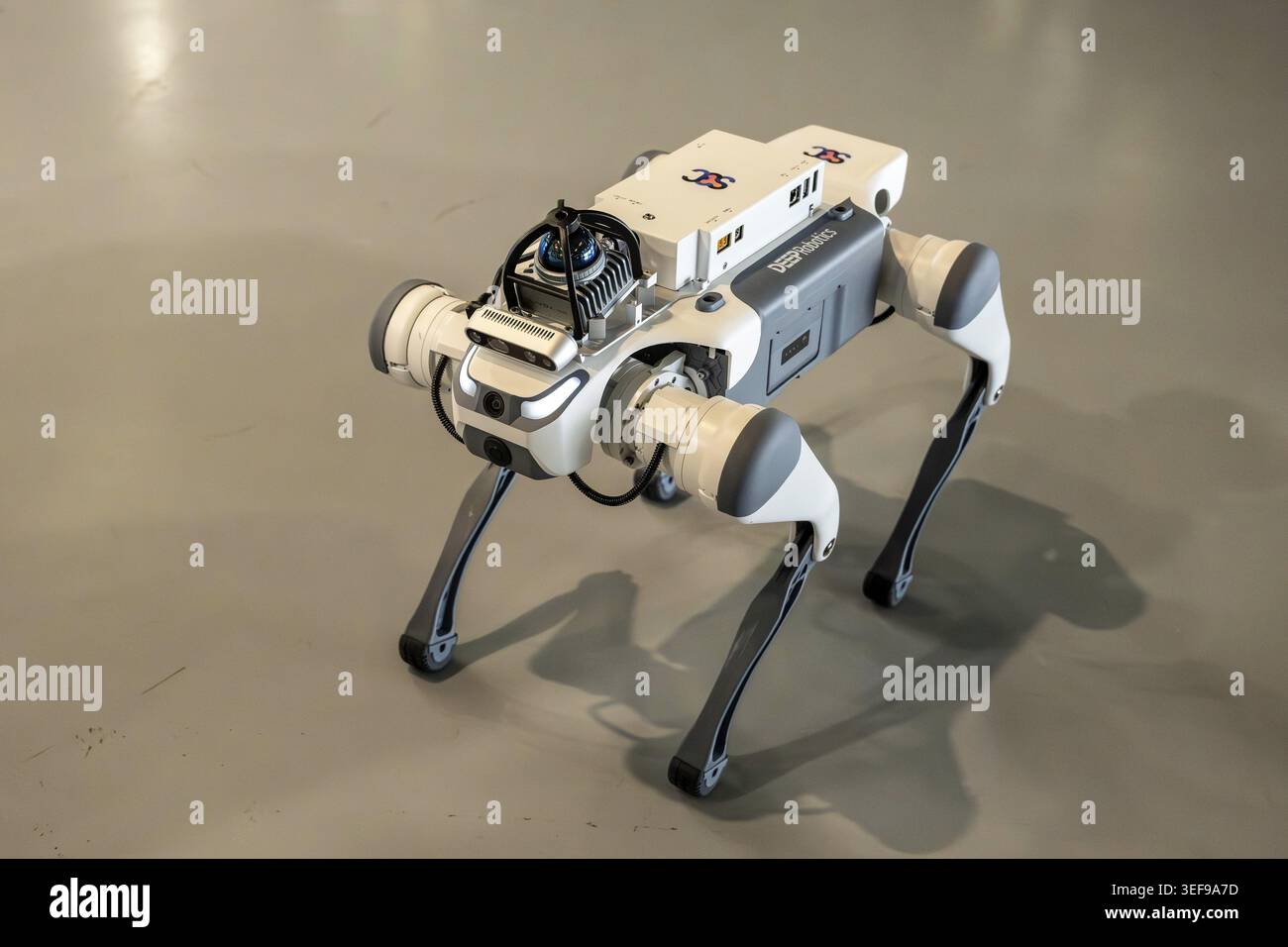 Robot con quattro gambe, Lite3, Berna, Svizzera Foto Stock