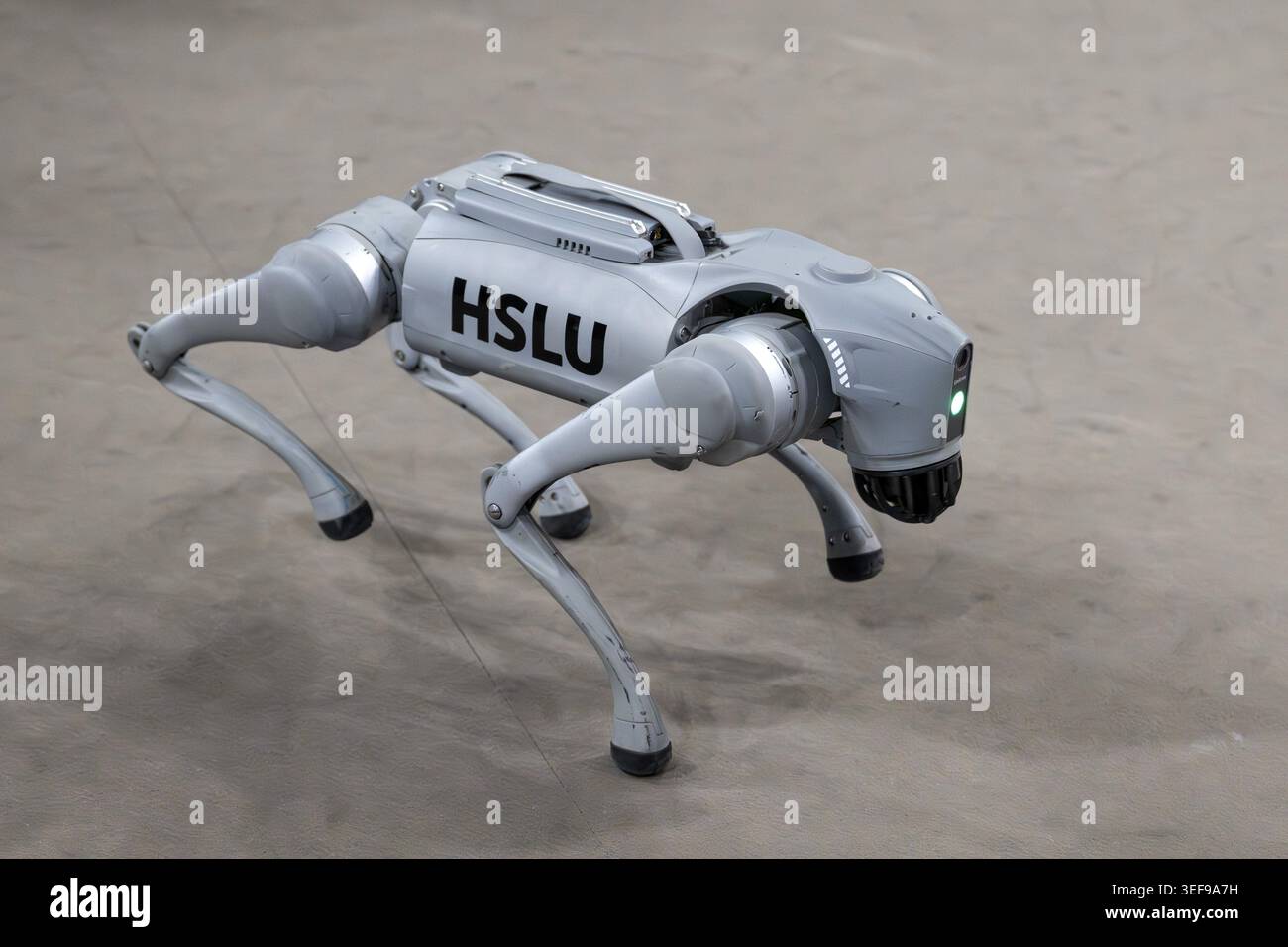 Robot a quattro zampe, Unitree Go2, HSLU, Berna, Svizzera Foto Stock