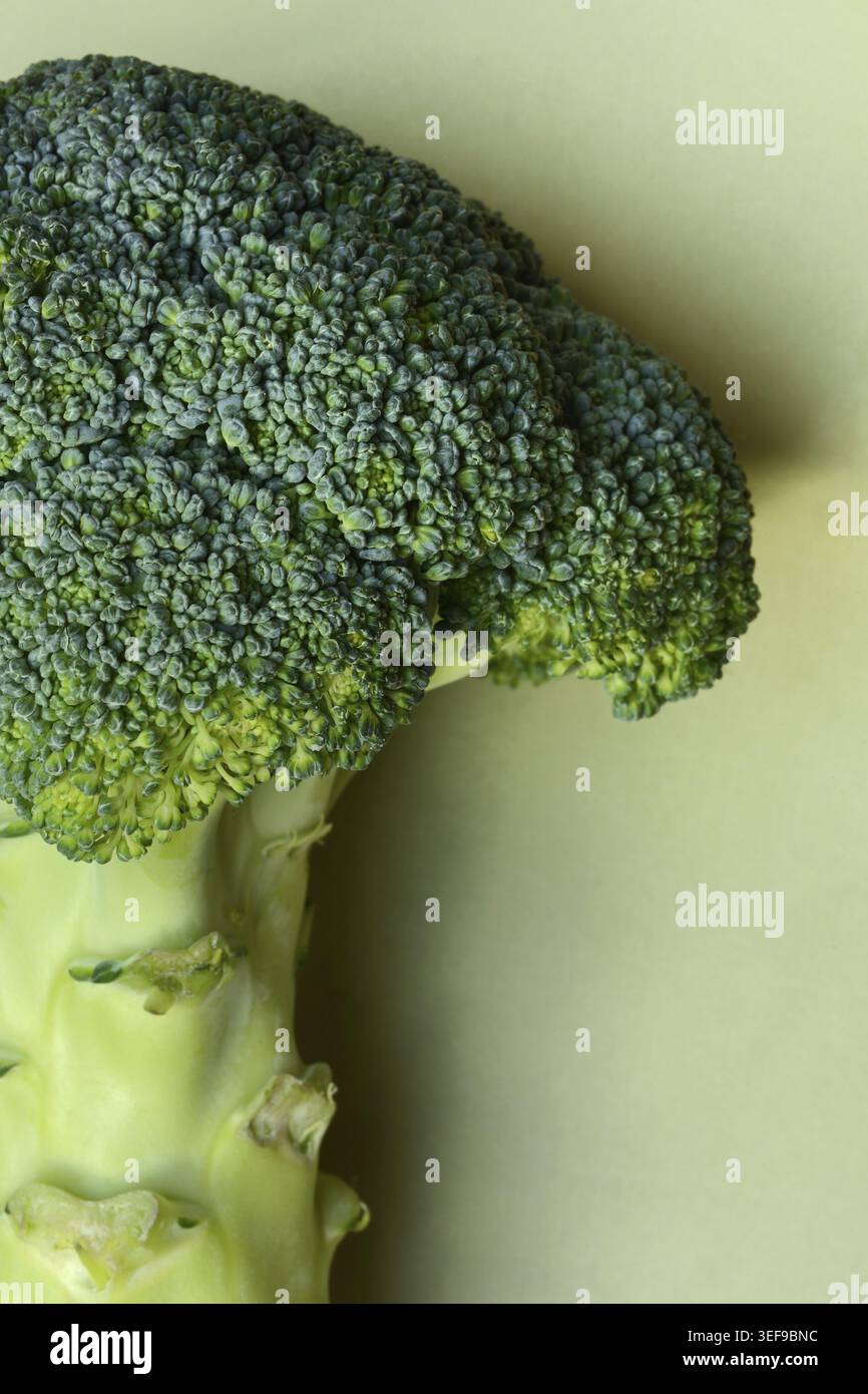Primo piano di broccoli, Brassica oleracea var. italica Foto Stock