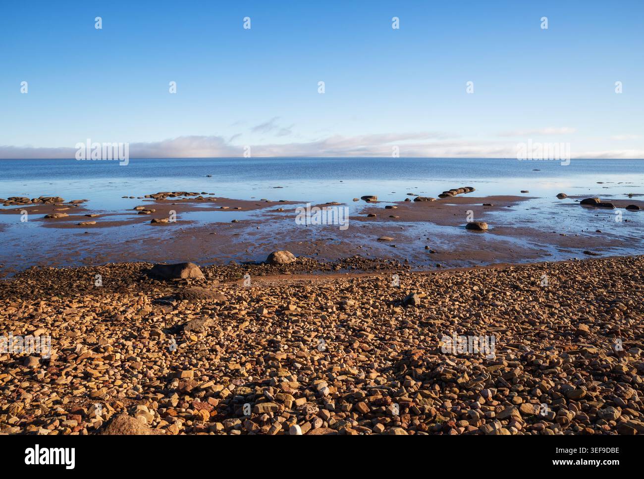 Spiaggia rocciosa sulla riva meridionale del lago Ilmen Foto Stock