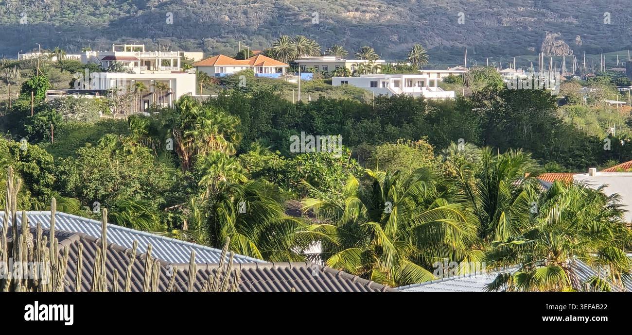Lussuosa vita tropicale a Jan Thiel e Jan Sofat a Curacao circondati da lussureggiante natura caraibica, palme e ville esclusive in collina. - Immagine stock catturata con smartphone