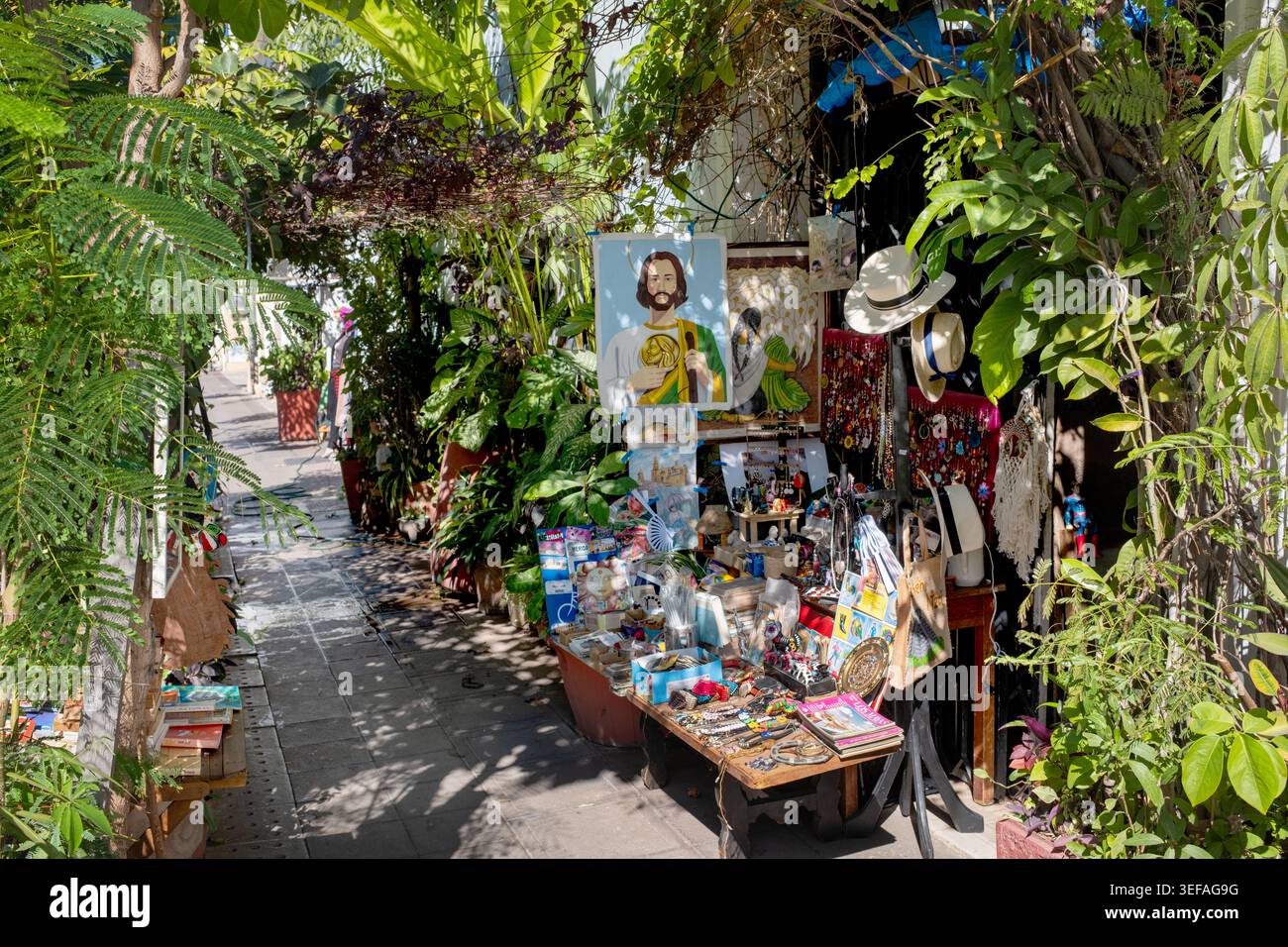 Negozio di antiquariato Alfaro a Merida, Yucatan, Messico Foto Stock