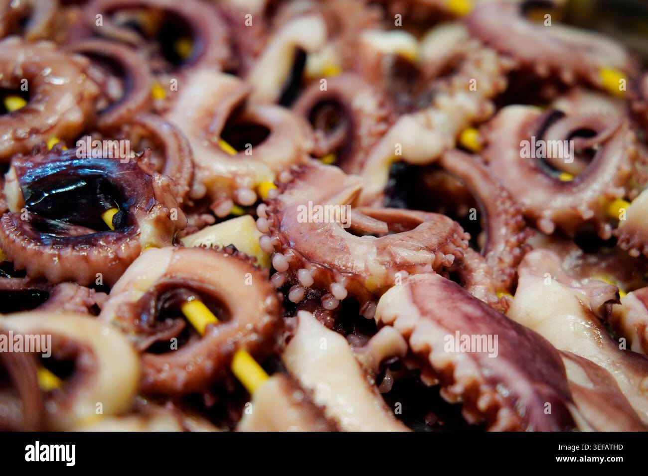 Gli spiedini di polpo fresco su bastoncini di bambù, con piedi di polpo rosso viola, polpa soffice con consistenza a ventosa, umida e fresca, sono comunemente utilizzati Foto Stock