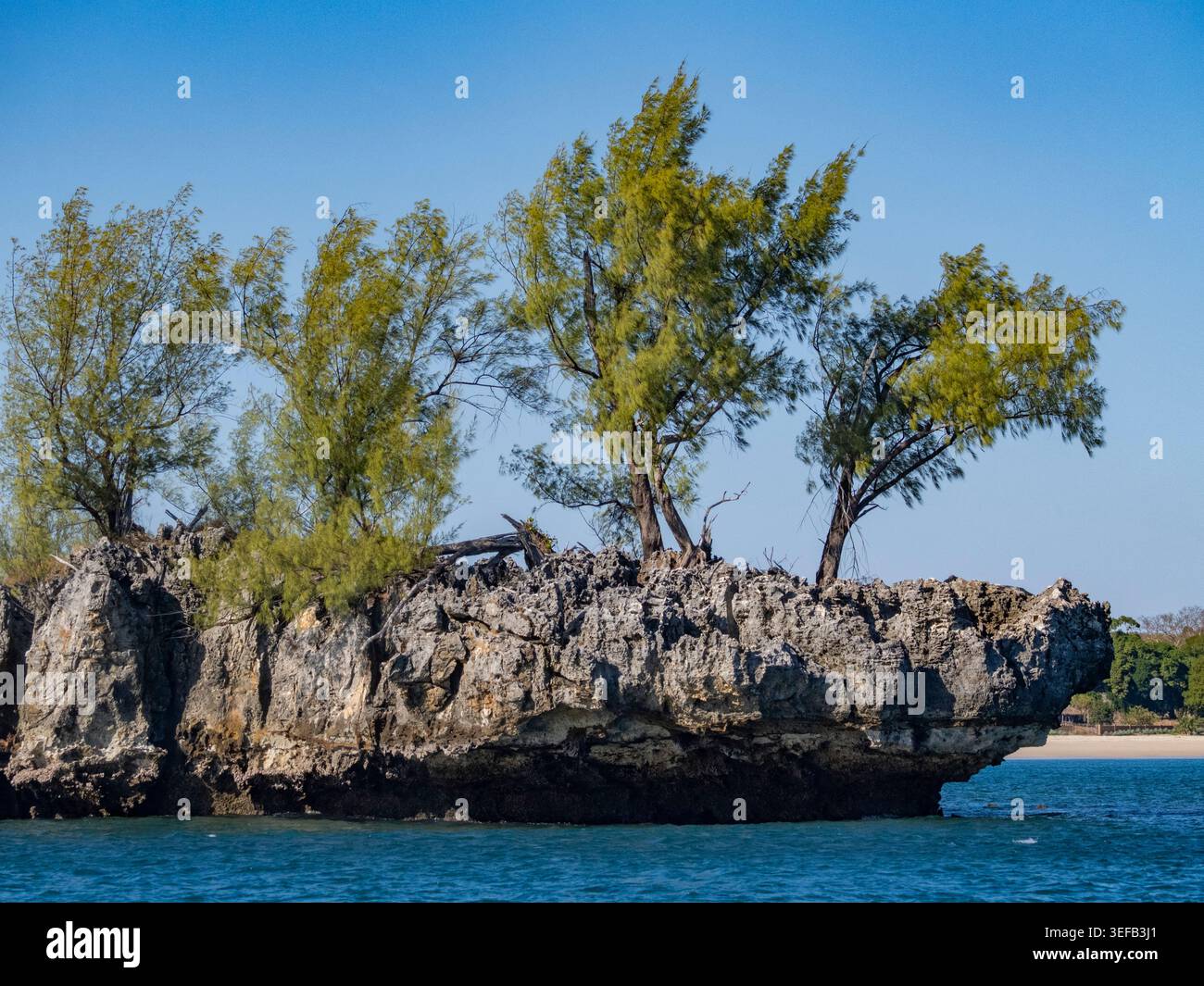 Pile di pietra calcarea con archi e grotte che mostrano vegetazione vicino alla costa del Madagascar Foto Stock