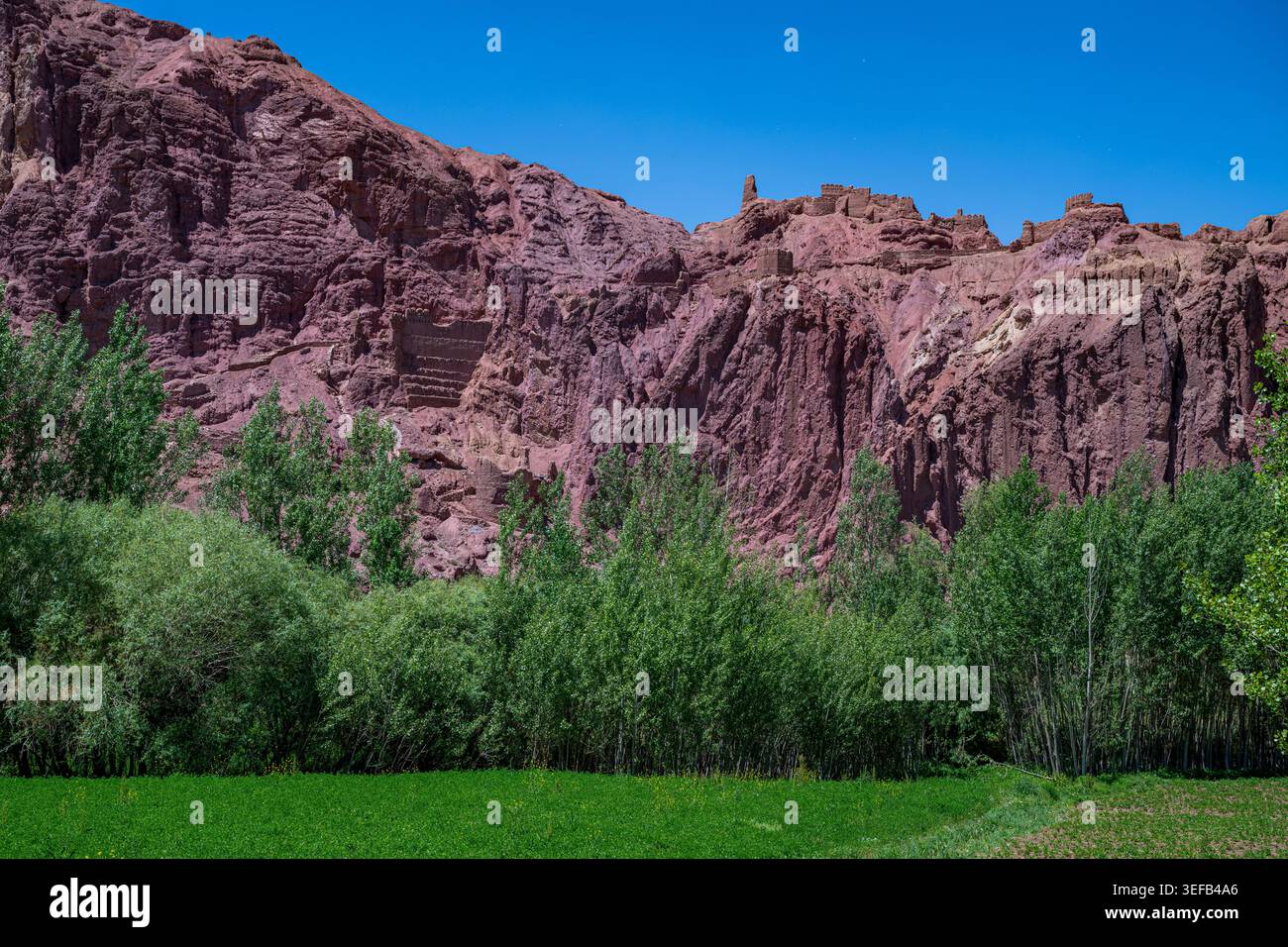 Esplora Shahr-e Zuhak, un antico sito di Bamyian, noto per le sue impressionanti formazioni di roccia rossa e il paesaggio verde Foto Stock