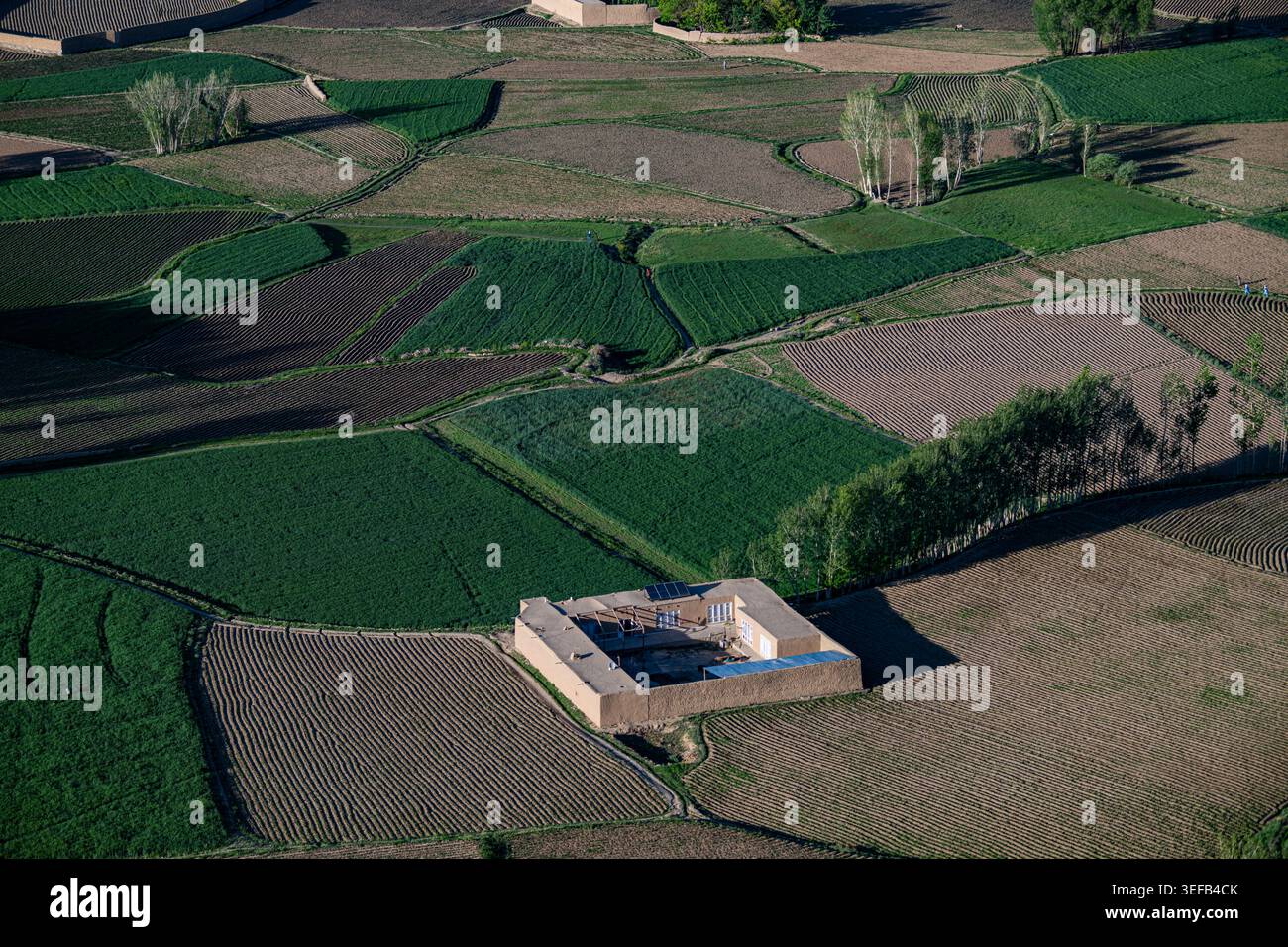 I campi di riso circondano una struttura vicino a Bamyian, che mostra le pratiche agricole nel paesaggio agricolo afgano Foto Stock