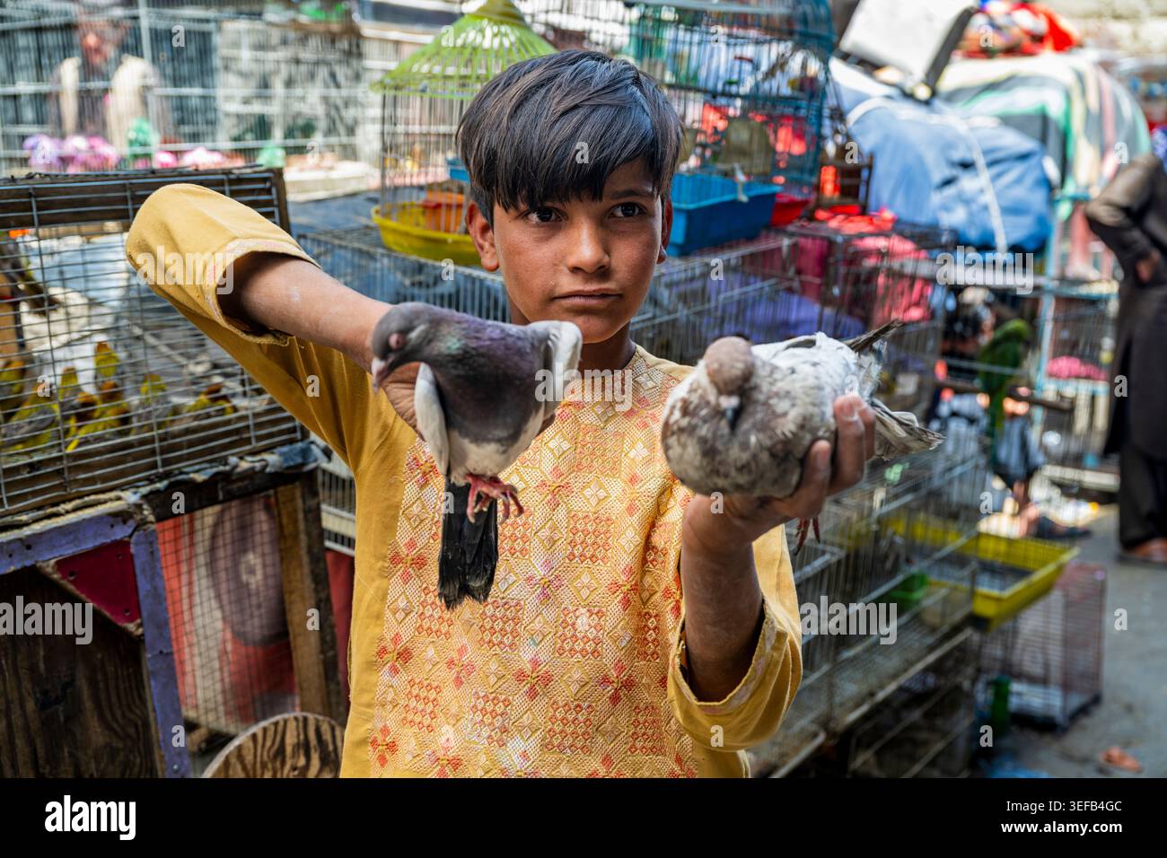 Il ragazzo vende piccioni in una strada trafficata a Kabul durante un giorno di mercato Foto Stock