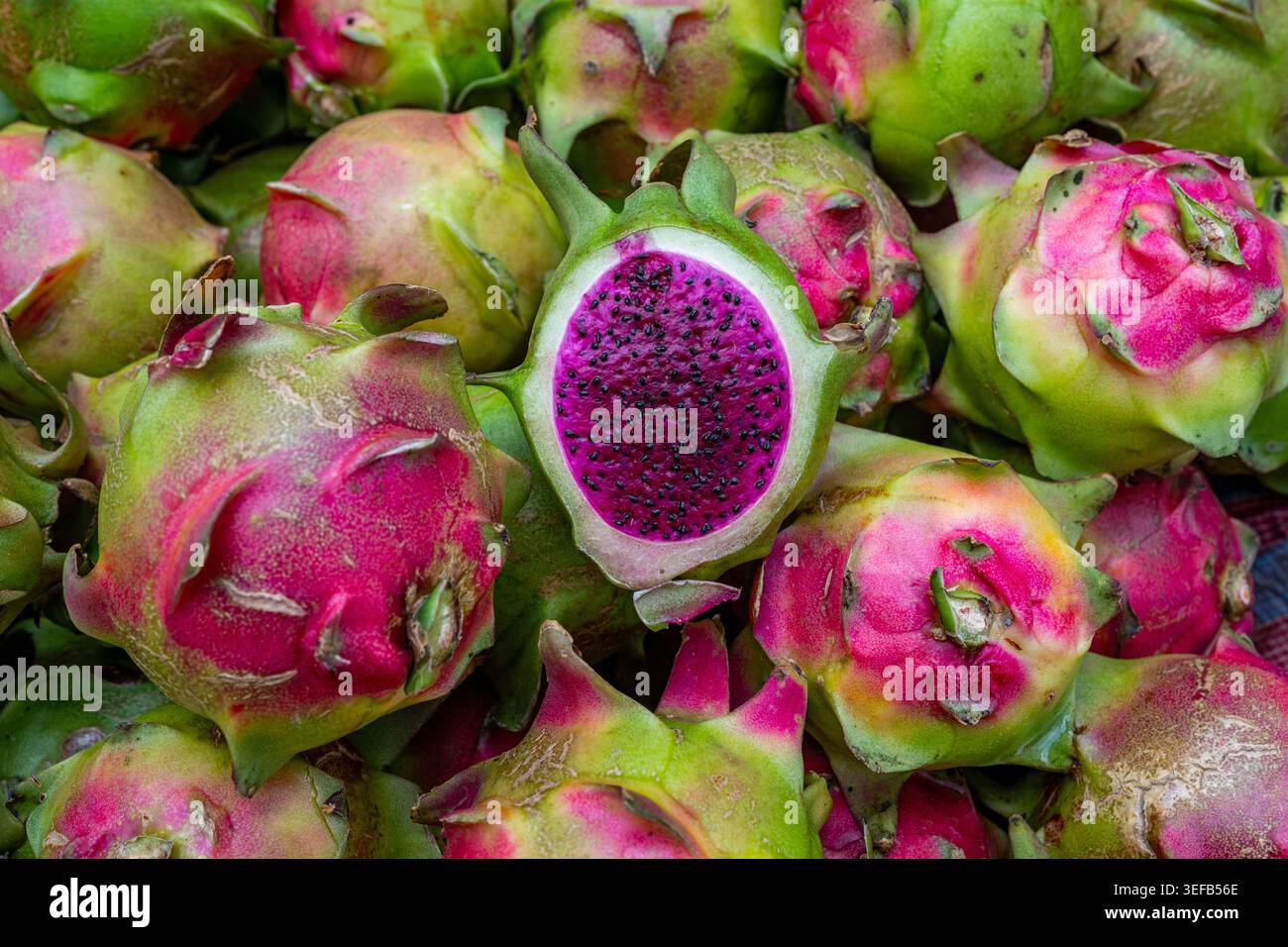 Dragon Fruit esposto in un mercato vegetale a Dacca, Bangladesh durante le ore diurne con colori vivaci Foto Stock